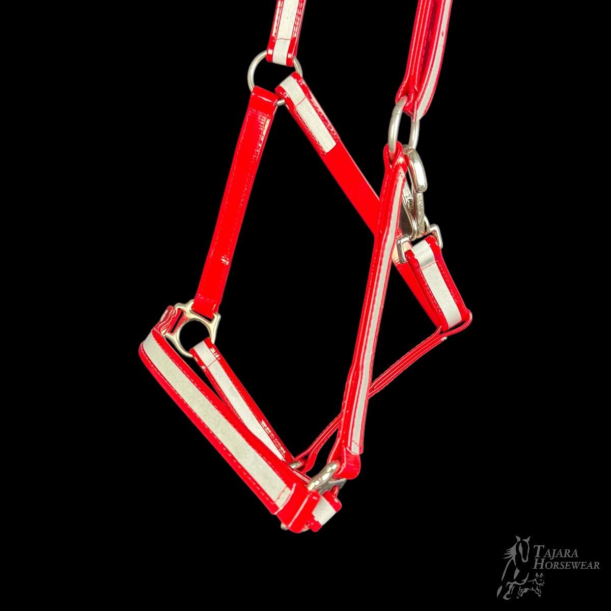 Reflektierendes Halfter (TH83)
